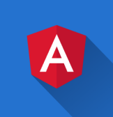 Imagem livro Angular